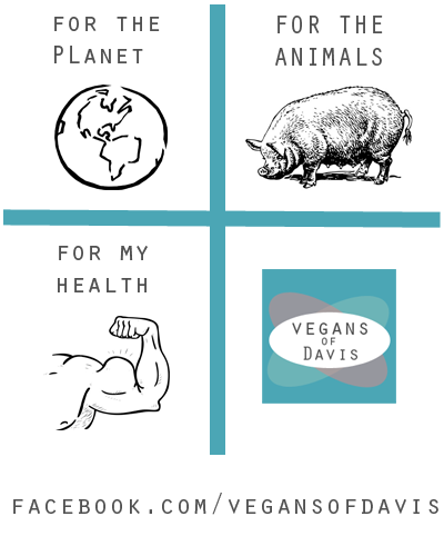 I am vegan for...